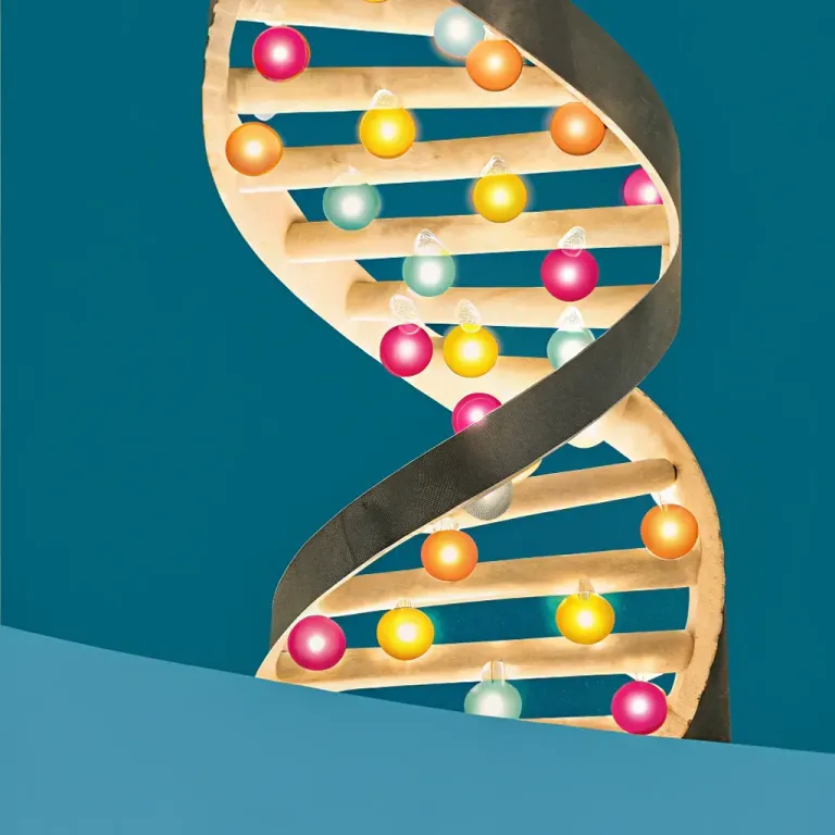 Your Life's Blueprint: Genes Aren't Destiny cover
