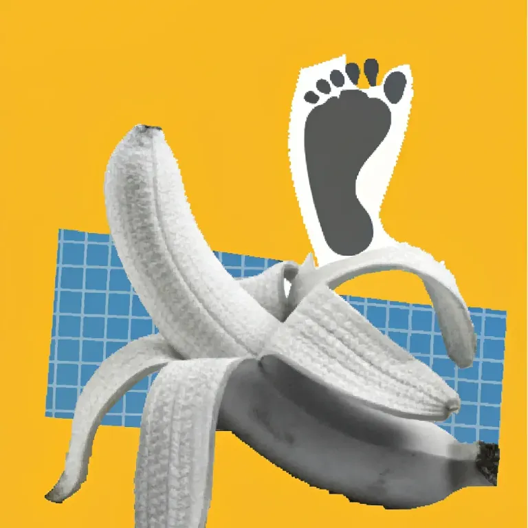 Your Carbon Impact: Choices Change Everything cover