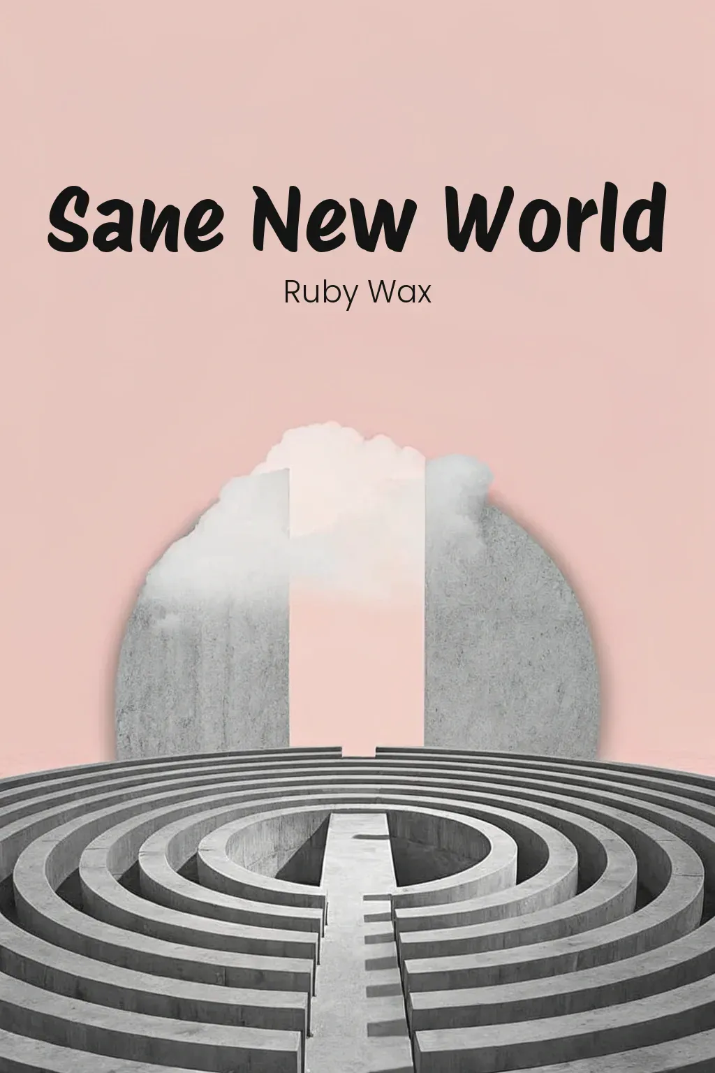 Sane New World cover