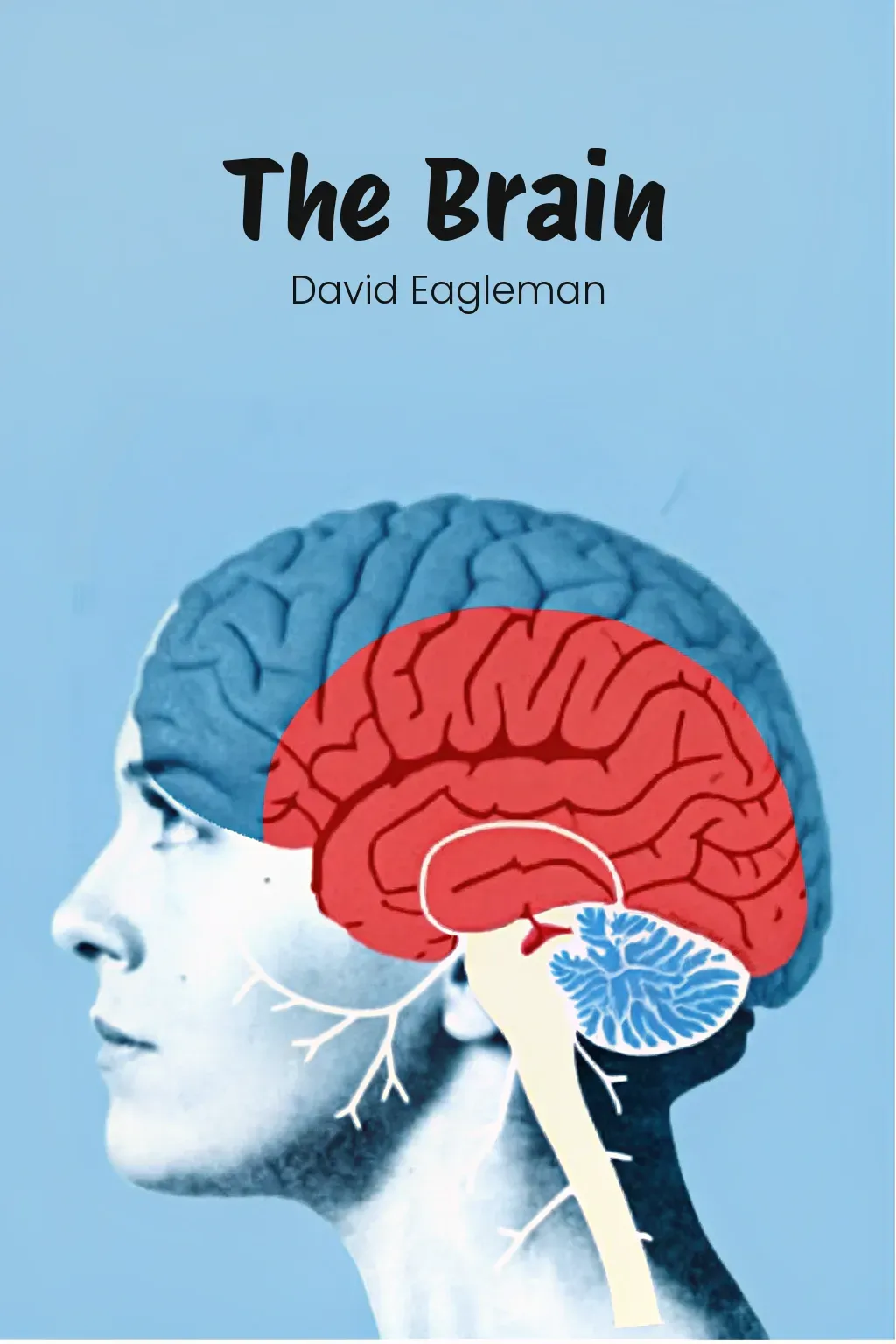 The Brain cover