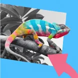 Podcast thumbnail